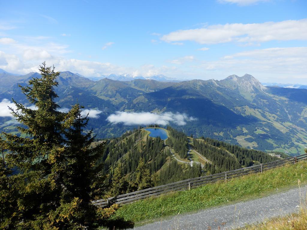 Winklers Gipfelblick Chalet, Inklusive Alpentherme - Ganzjaehrig, Gasteiner Bergbahn - Nur Sommer Bad Hofgastein Dış mekan fotoğraf